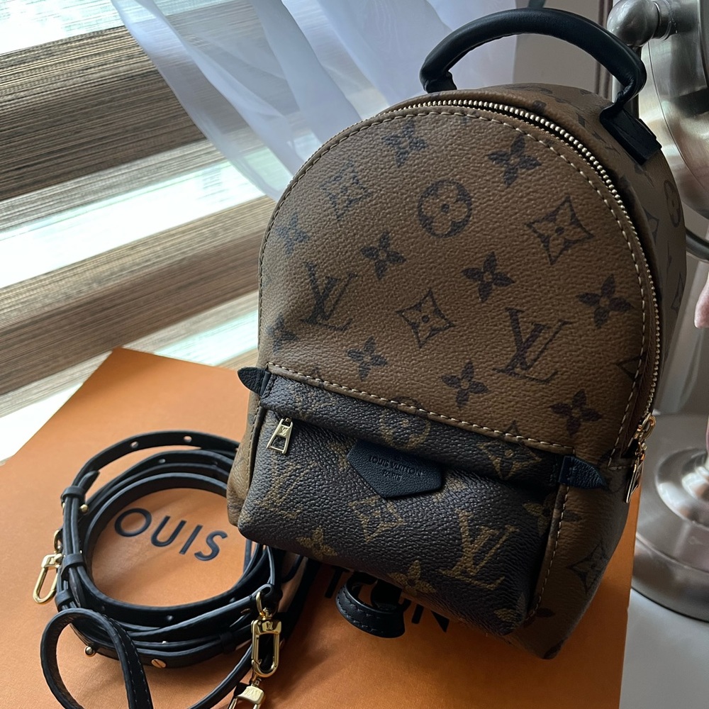 Louis vuitton palmsprings mini reverse monogram - Picture 1 of 7
